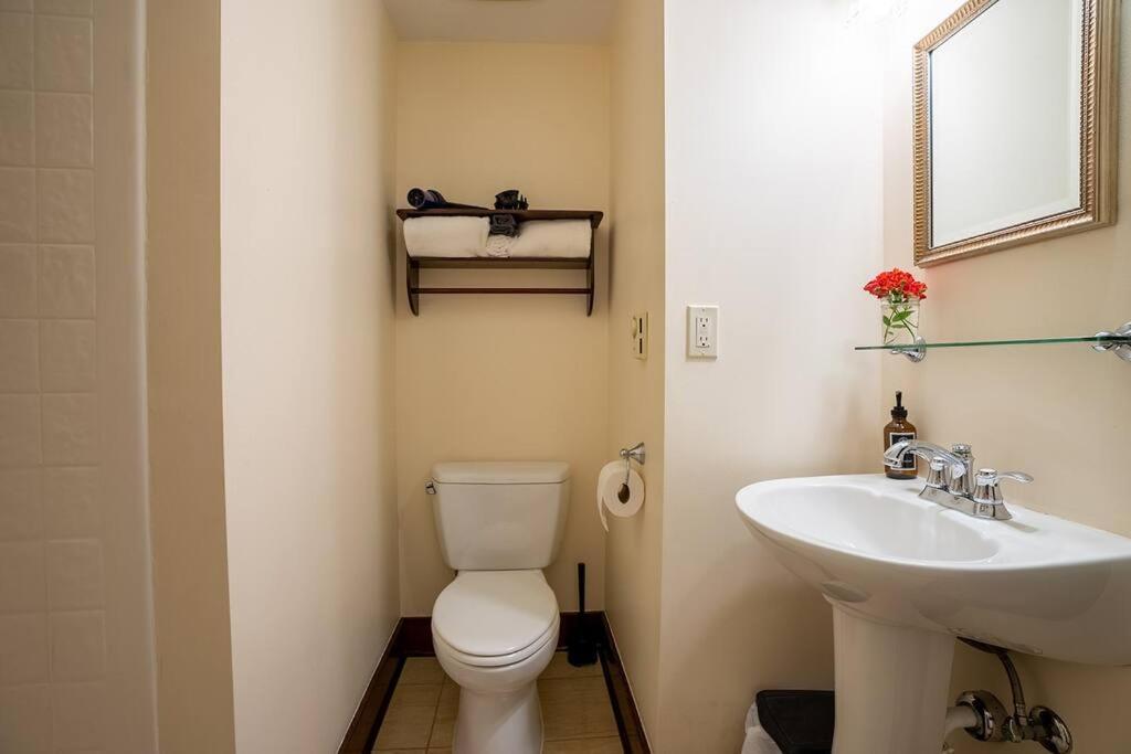 سياتل Charming 1Bd Suite In Capitol Hill - Foxglove Inn المظهر الخارجي الصورة
